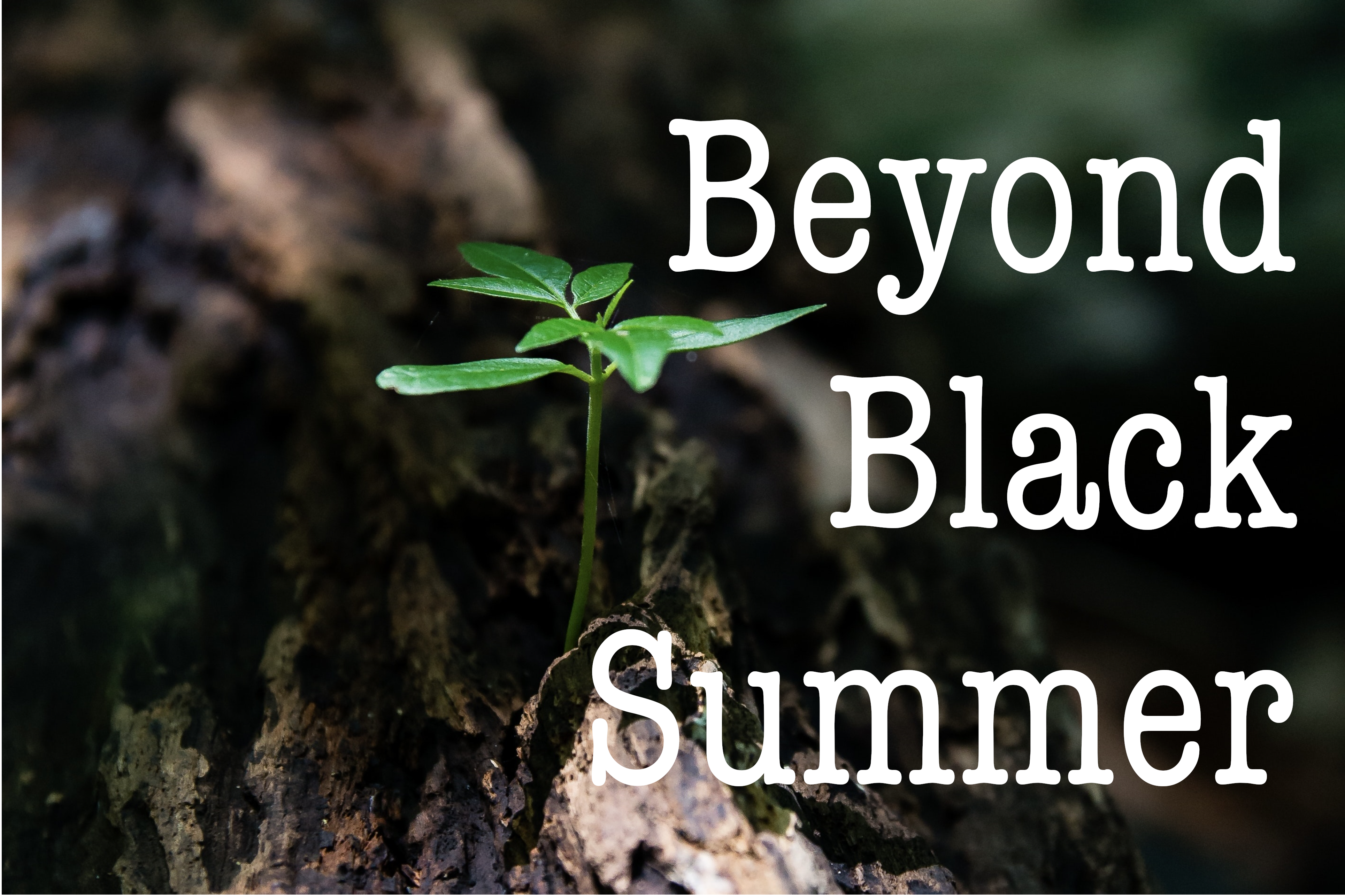 Beyond Black Summer